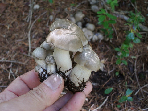 35