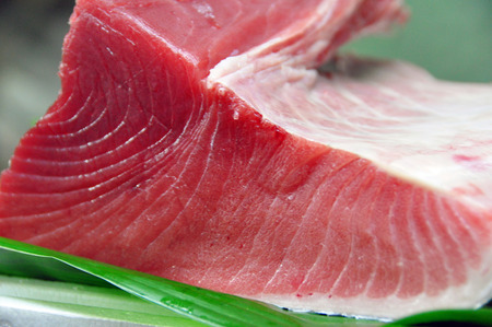 maguro