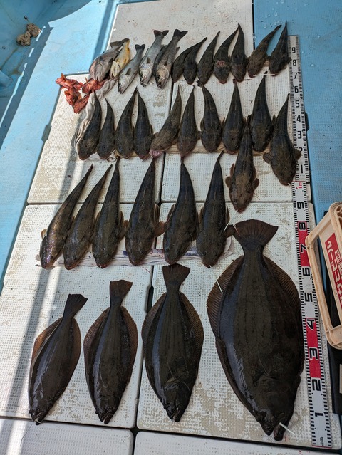 PXL_20230702_050429805