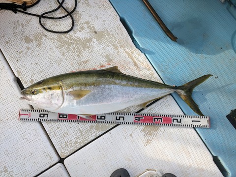 PXL_20230718_085236980~2