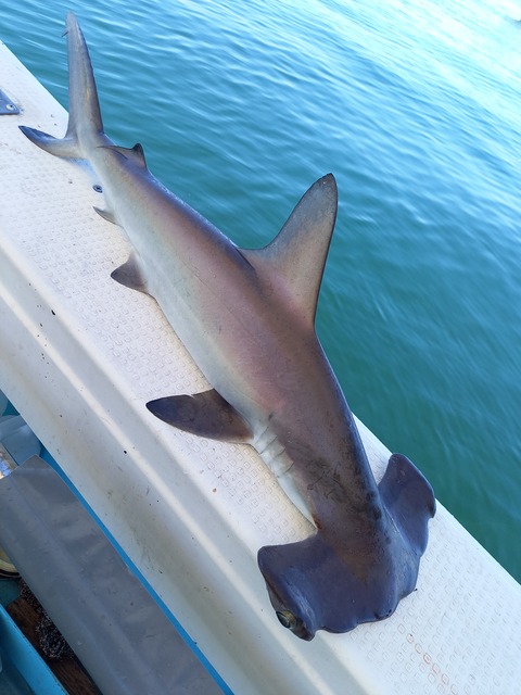 20210830_112146