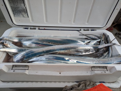 PXL_20230720_092746497