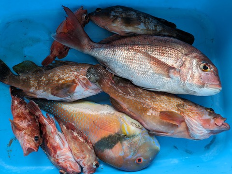 PXL_20230728_054417255