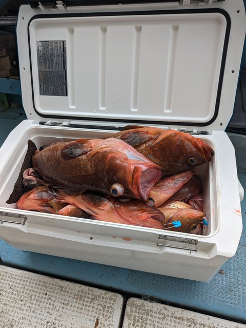 PXL_20240615_062437656