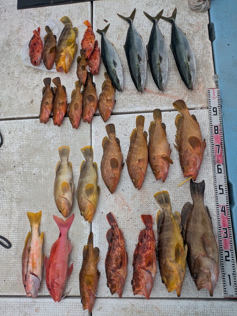 PXL_20250401_082814771