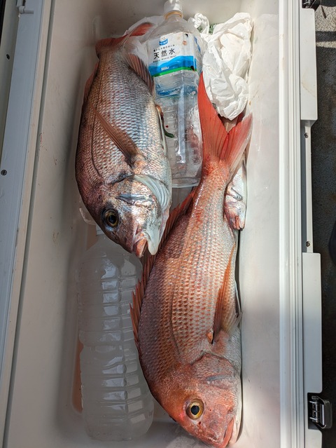 PXL_20230728_054616125