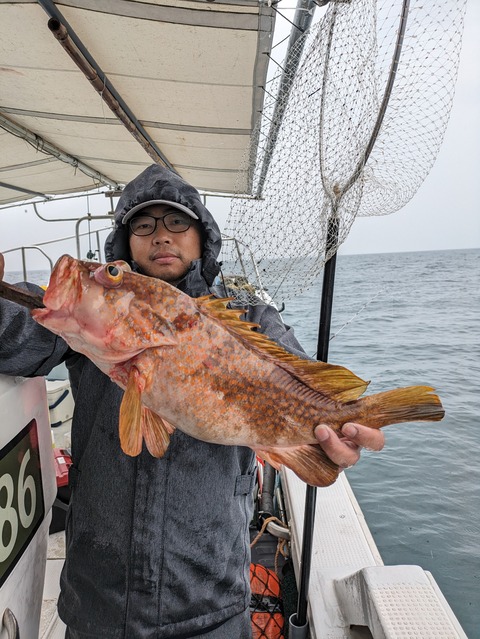 PXL_20230625_031314684