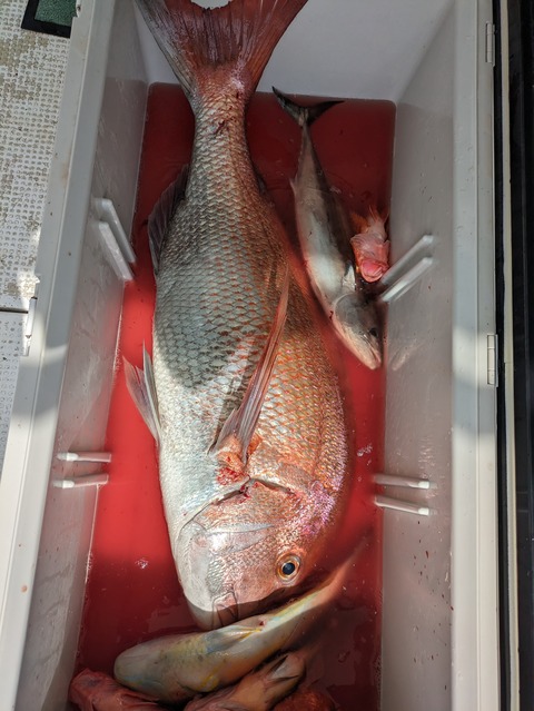 PXL_20230728_055834304