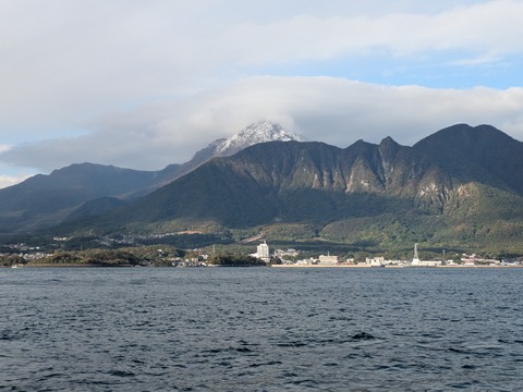 PXL_20241128_235613554