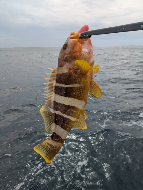 PXL_20250401_005859090~2