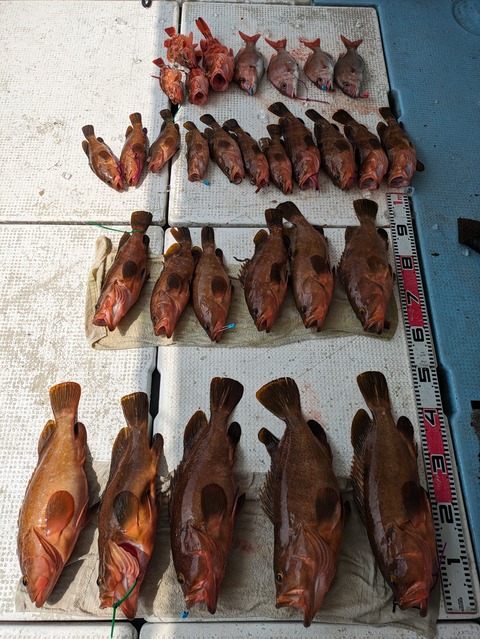 PXL_20240601_054112654