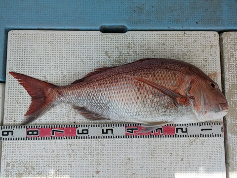 PXL_20230728_055724639