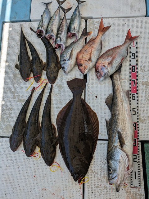 PXL_20230718_043853630