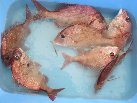 20200926_3 (2)