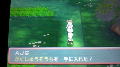 ポケモンａｓ ａｊのゲーム日記