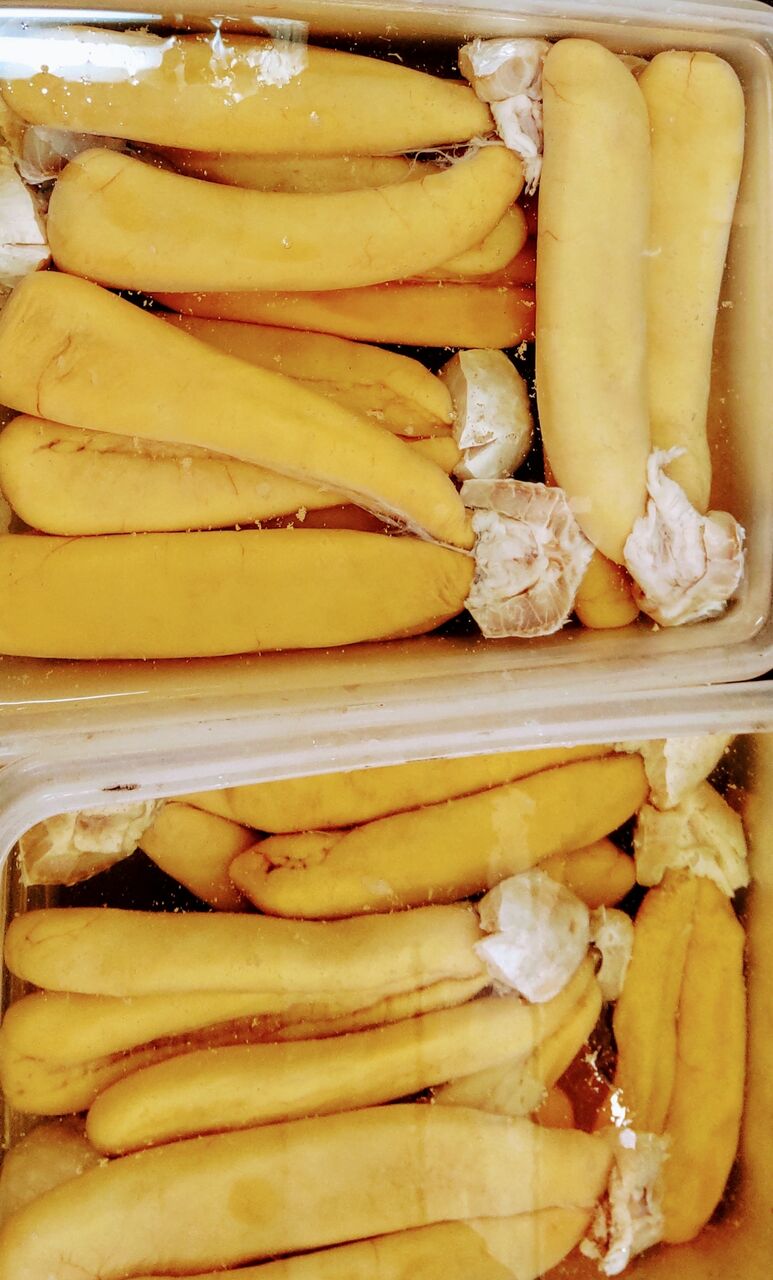 からすみ作り ６日目 寿司割烹新太郎の美味しいお話し