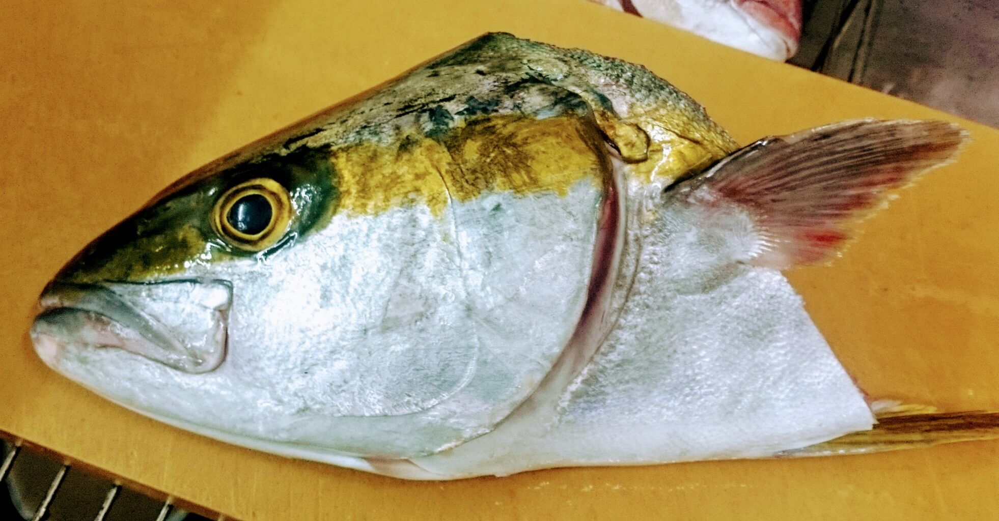 ひらまさ 寿司割烹新太郎の美味しいお話し ひらまさ 寿司割烹新太郎の美味しいお話し