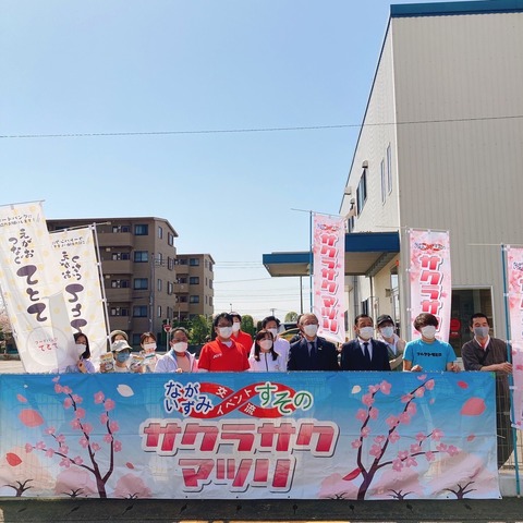 サクラ1