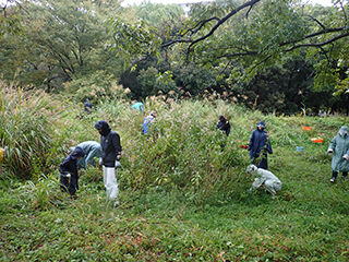 【終了】10月草はらの日