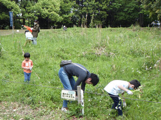 RIMG0698