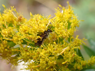 PB060280