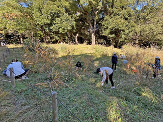 ササ刈りIMG_8162