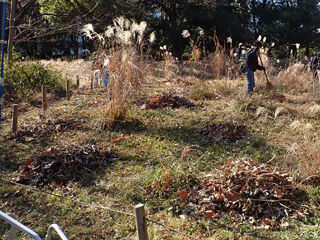 落ち葉山20260124