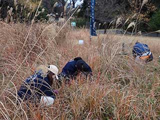 作業風景20251227_2