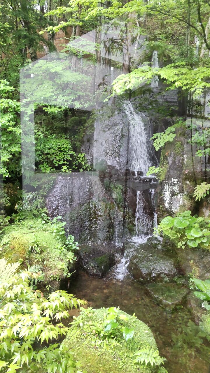 チェックアウトの意味