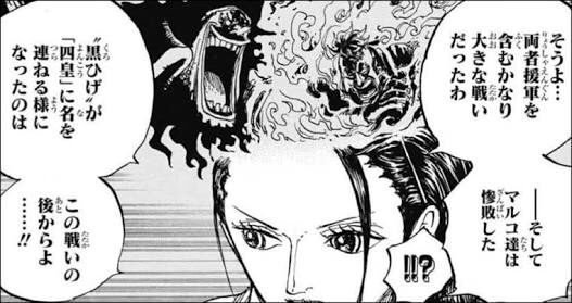 悲報 白ひげ海賊団一番隊隊長 不死鳥マルコ 弱すぎる スポーツ超まとめ