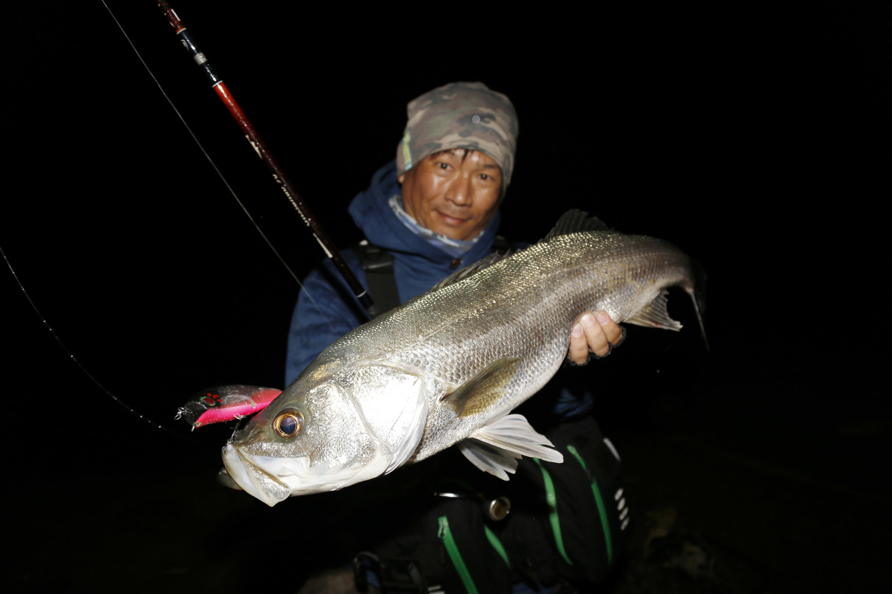 キョロキョロ140Fについて ～ボディ編～ : Ridgeline 伊豫水郷