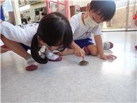 s-dc062802 - コピー