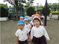 s-dc052929