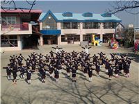 s-dc013020