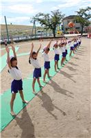 s-dc100420