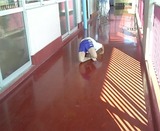 21d7f580.jpg