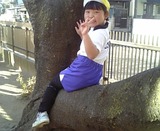 2b416248.jpg