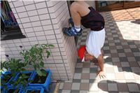 s-dc0627116