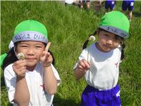 s-dc042009
