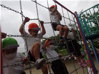 s-dc0602114