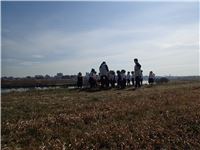 s-dc021233