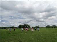 s-dc0724101
