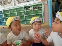 s-dc082896