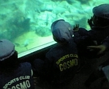 7d9ccf32.jpg