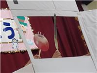 s-dc1125120