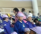 8224d703.jpg