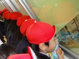 86aed899.jpg