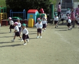 91556d56.jpg