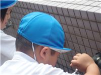 s-dc052912