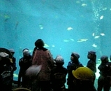 afe25005.jpg